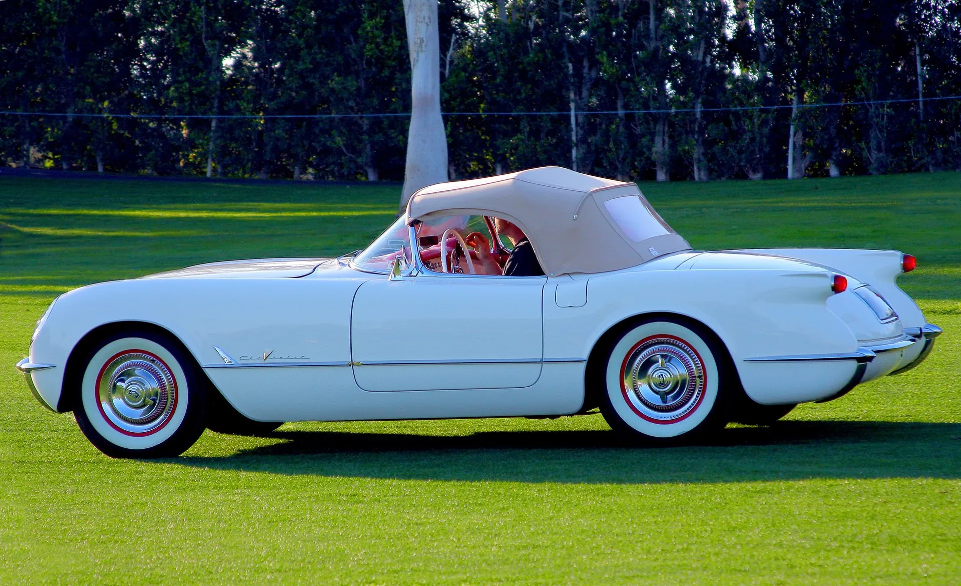 A white 1955 Corvette roadster with a beige soft top up, red interior, red-line whitewall tires and chrome wheel covers, parked side-on on a lawn. The Chevrolet script on the front fender carries a gold V.
