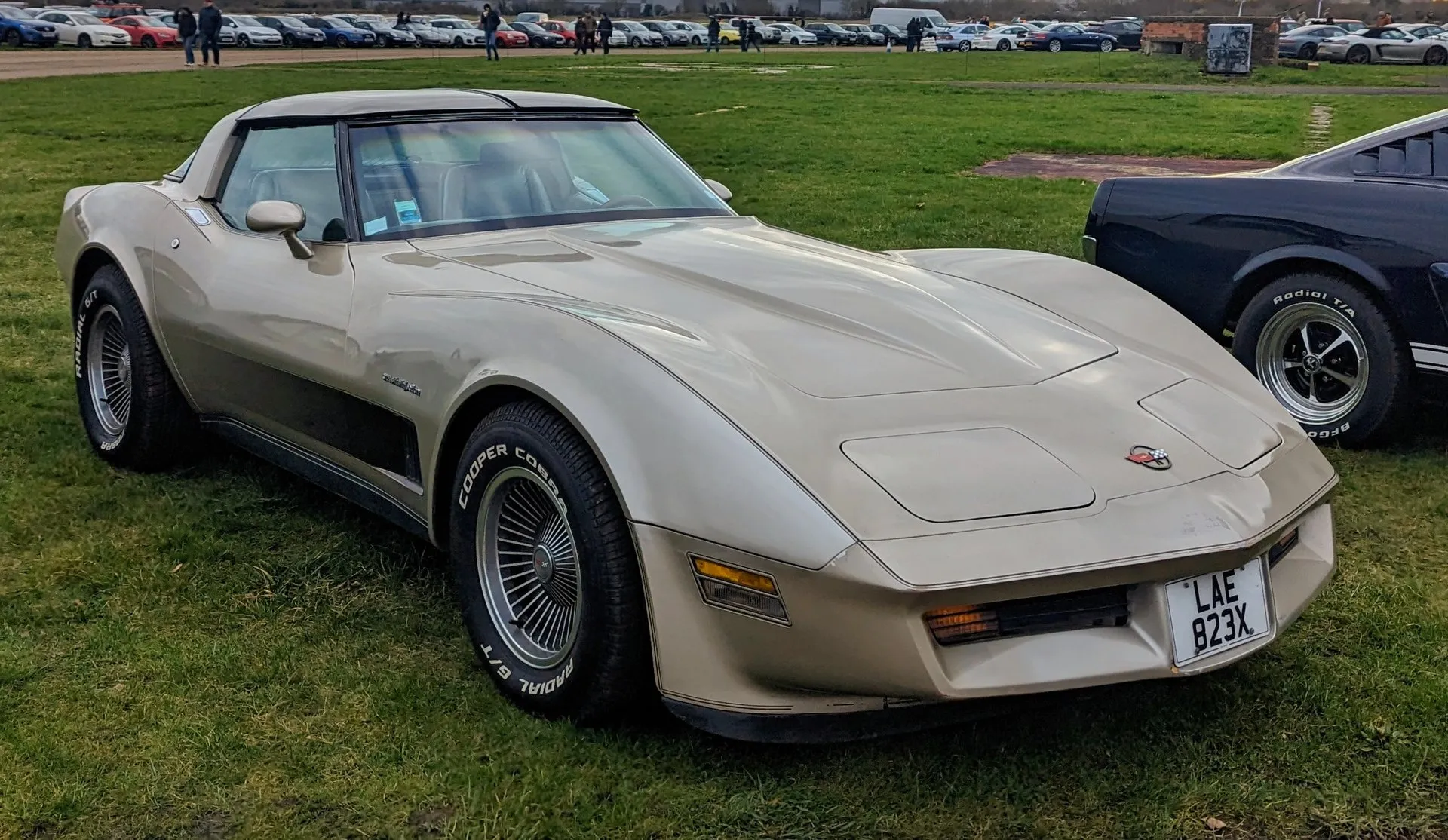 A silver-beige Corvette parked on grass with rows of cars behind it, seen from the front right, with darker shaded side graphics, a script on the front fender, finned multi-spoke wheels on white-letter tires and a British number plate.