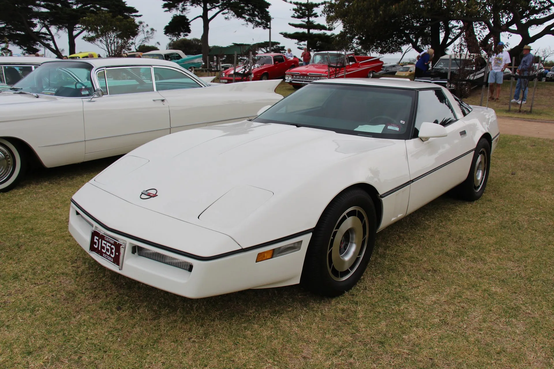 White 1985 Chevrolet Corvette coupe with a red club-permit plate, parked on grass at a car show beside a white sedan with tail fins, seen from the front left.