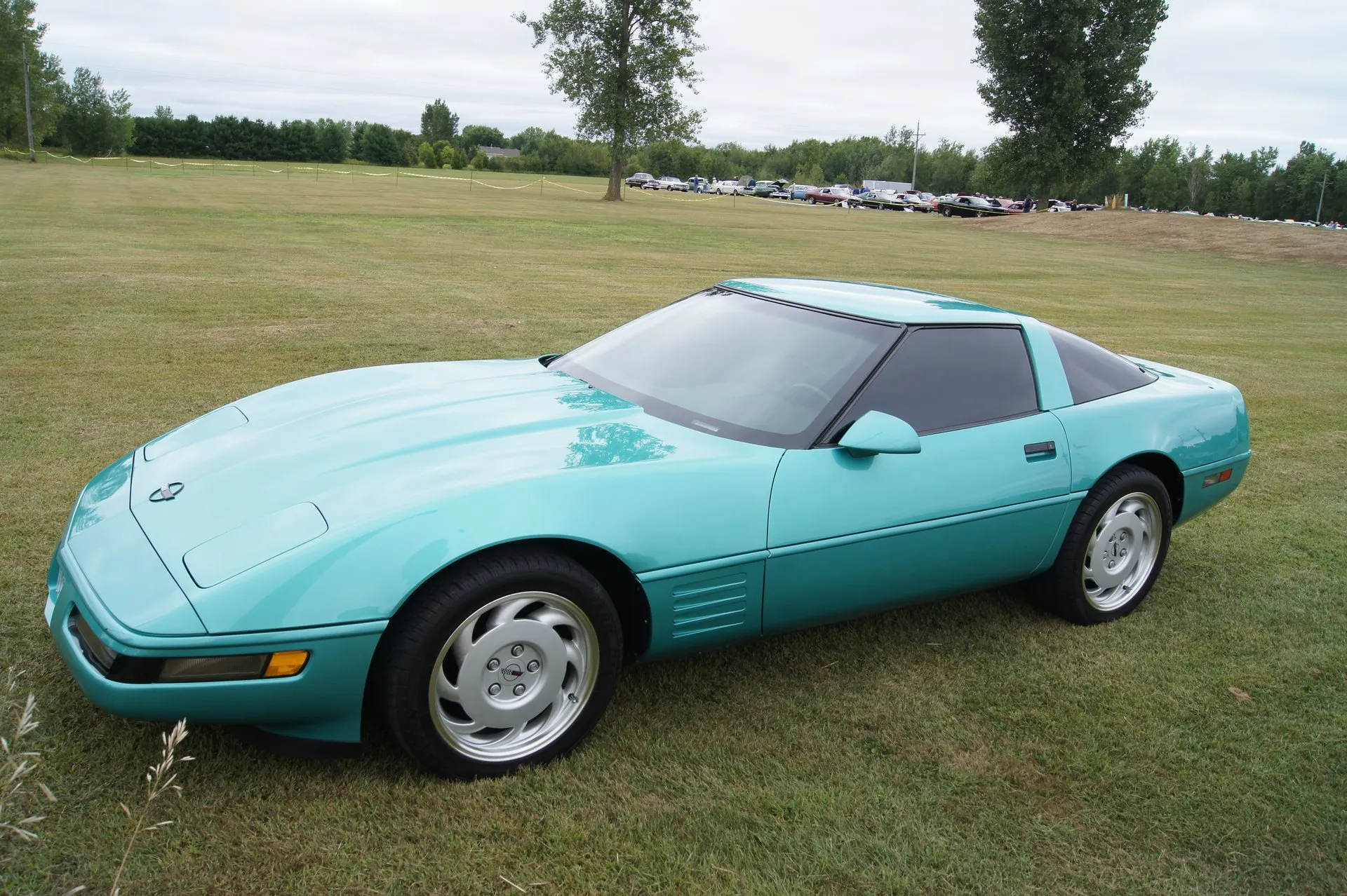 The same Turquoise Metallic C4 coupe seen from the front left on grass, showing the wraparound front lamps, the straight side strakes behind the front wheel and silver slotted wheels.