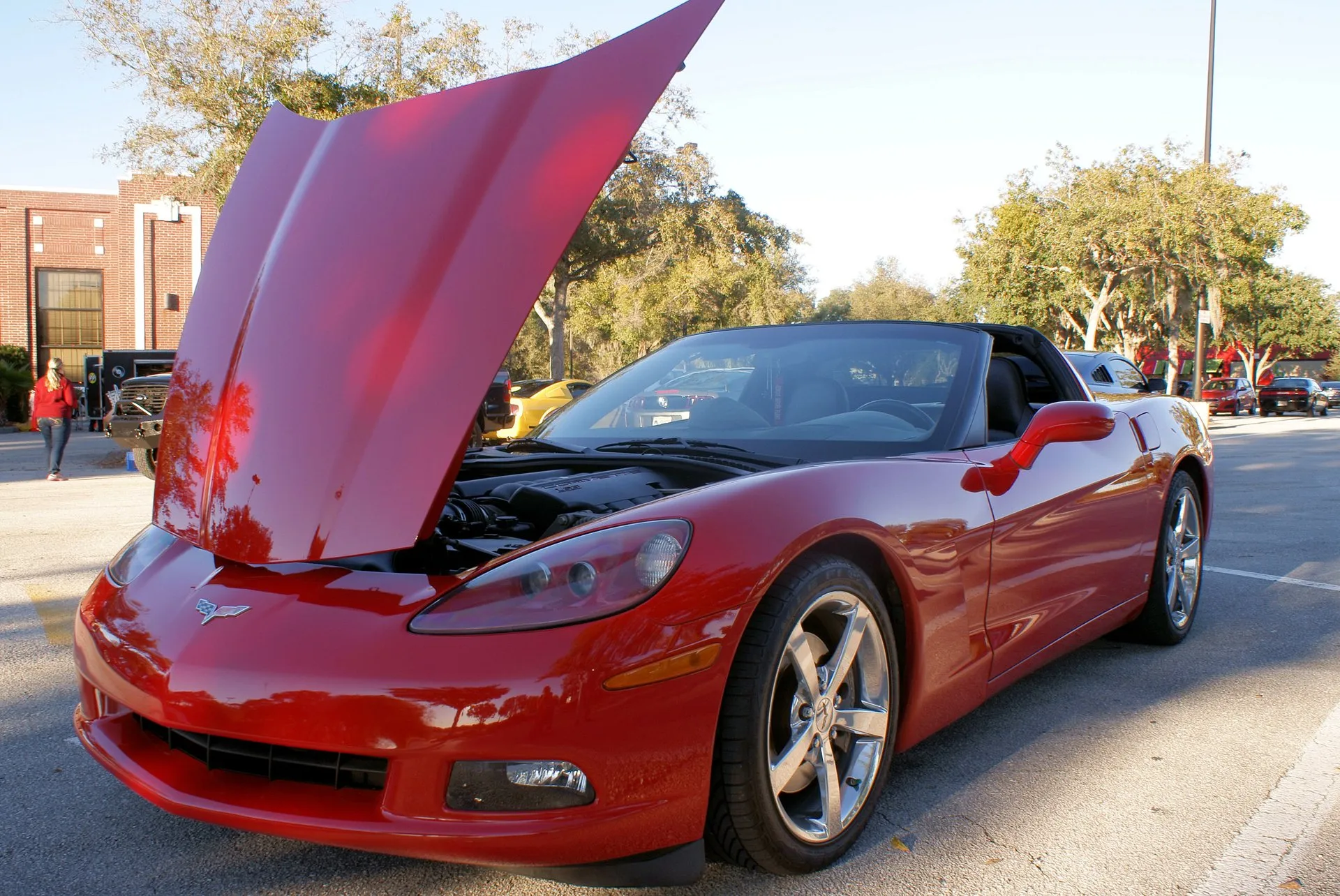 Red C6 Corvette convertible with its top down and hood raised in a parking lot, the engine cover visible, seen from the front left in low sunlight.