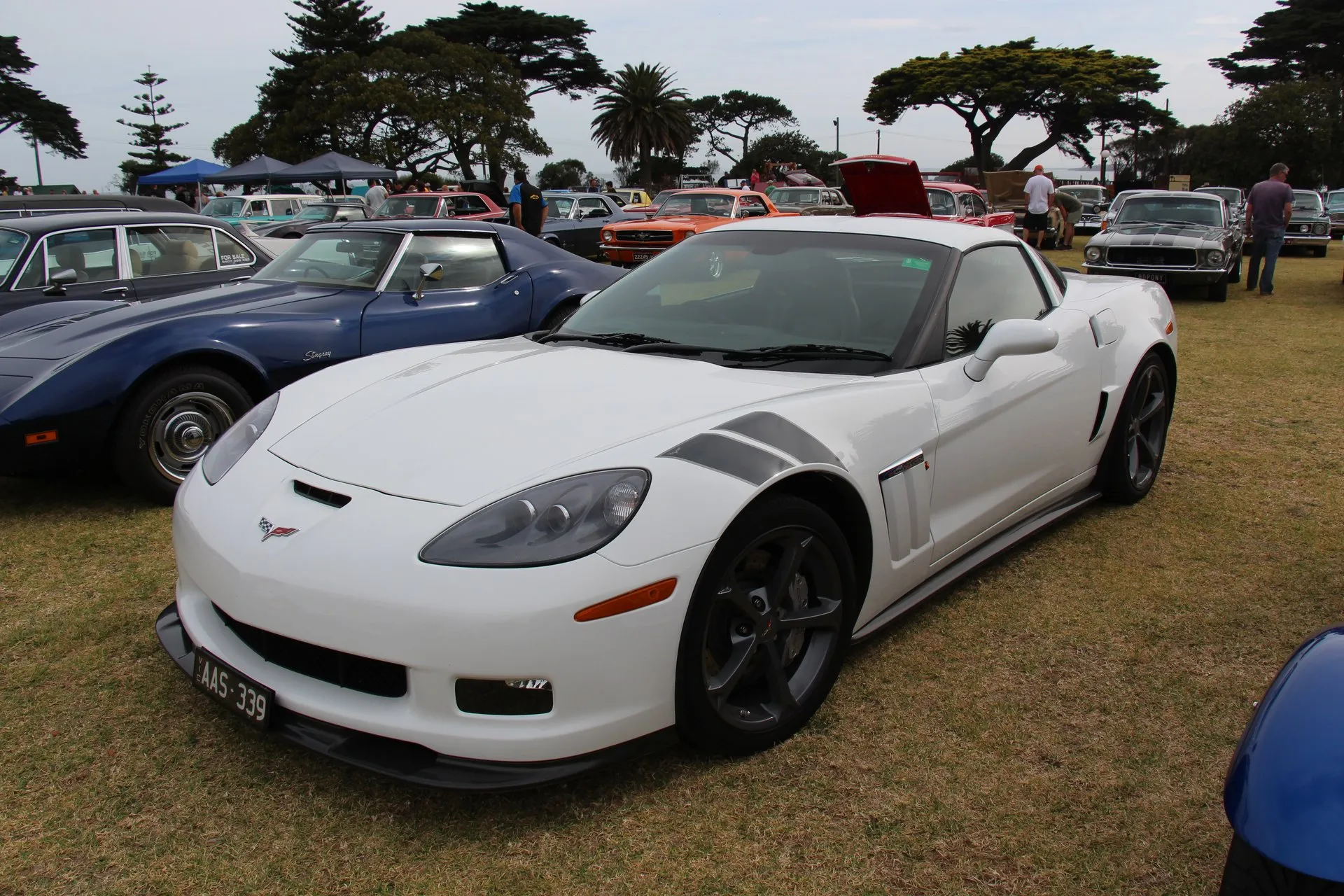 White C6 Corvette Grand Sport coupe with gray hash marks on its front fenders and dark wheels, parked on grass at a car show, with a blue C3 Corvette beside it.